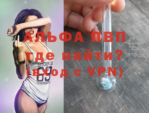 сатива Алексин
