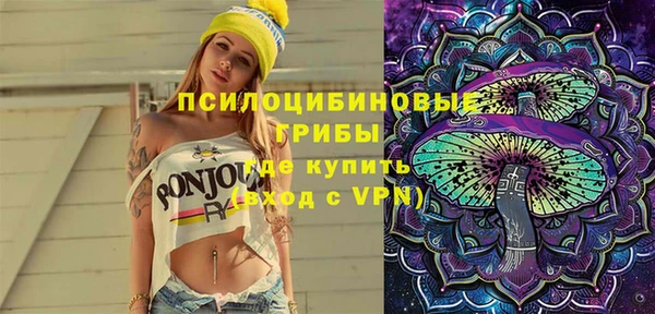 сатива Алексин