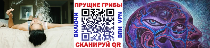 Галлюциногенные грибы мицелий  сайты даркнета клад  Находка  продажа наркотиков 